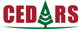 Cedars Sport Academy
